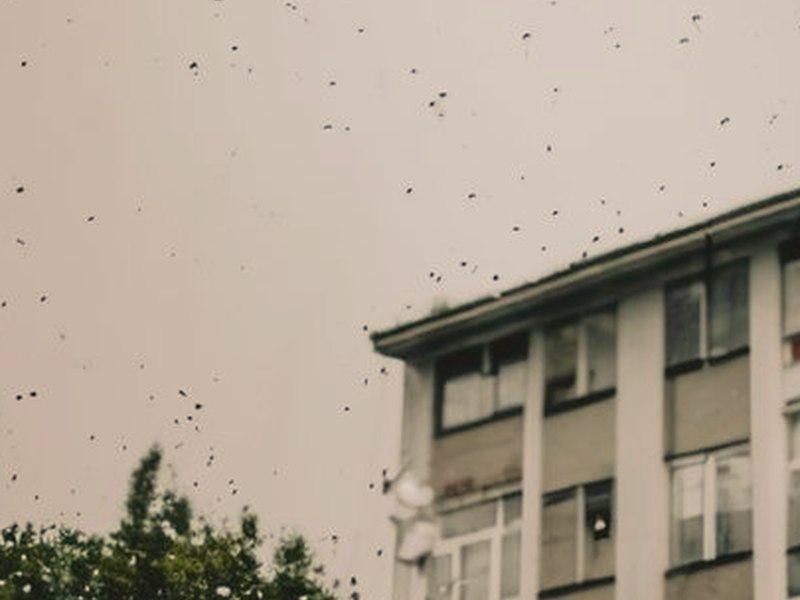在鏽蝕之夜對你呢喃愛語